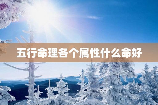 五行命理各个属性什么命好