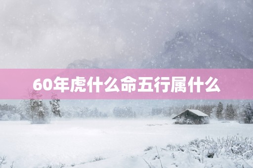 60年虎什么命五行属什么