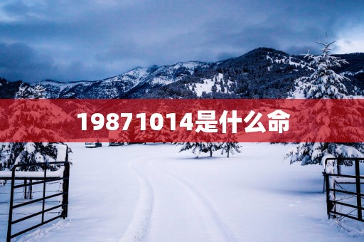 19871014是什么命