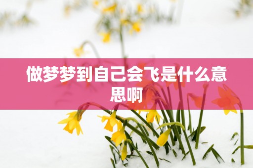 做梦梦到自己会飞是什么意思啊