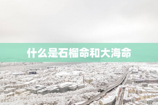什么是石榴命和大海命