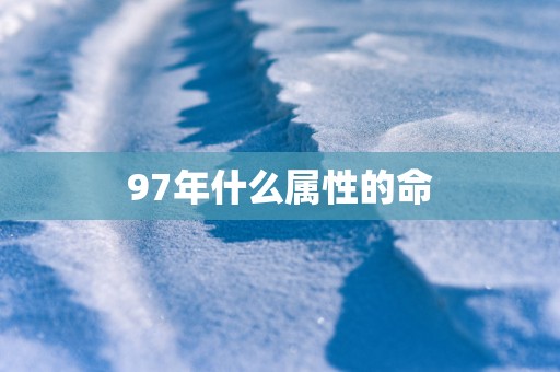 97年什么属性的命