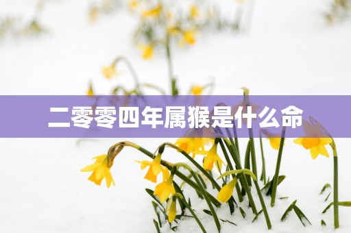 二零零四年属猴是什么命