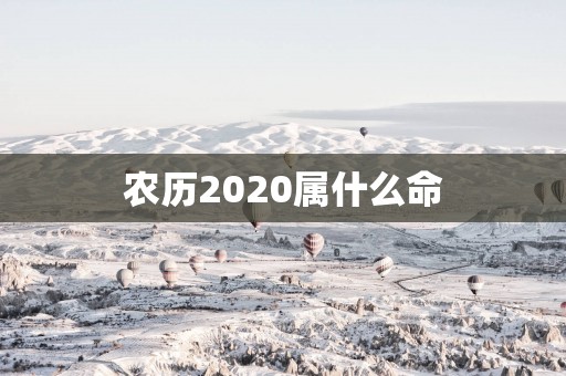 农历2025属什么命