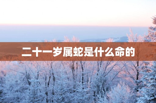 二十一岁属蛇是什么命的