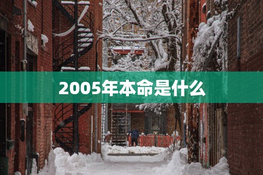 2005年本命是什么