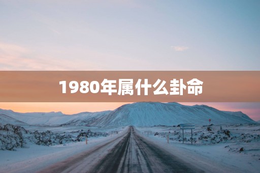 1980年属什么卦命