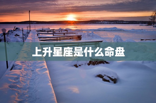 上升星座是什么命盘