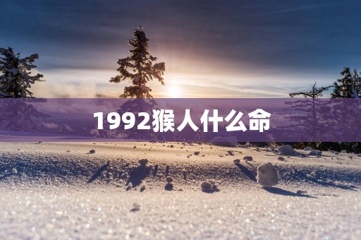 1992猴人什么命