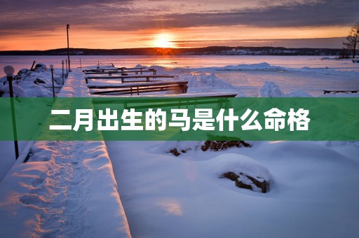 二月出生的马是什么命格
