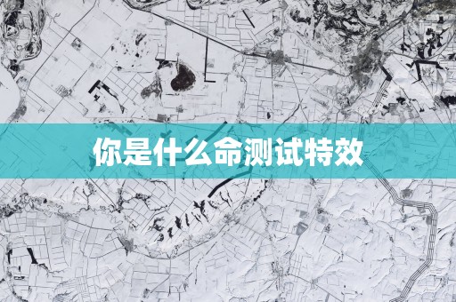 你是什么命测试特效