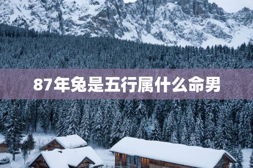 87年兔是五行属什么命男