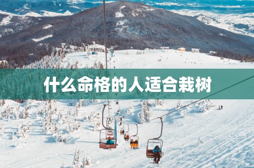 什么命格的人适合栽树