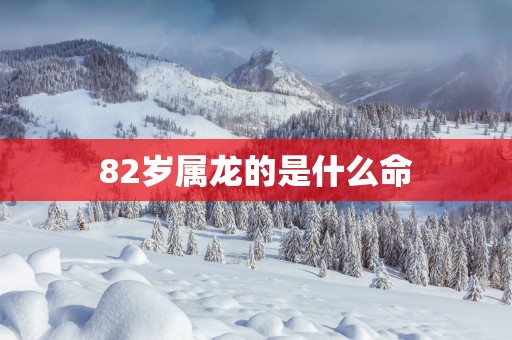 82岁属龙的是什么命