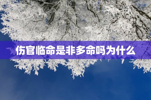 伤官临命是非多命吗为什么