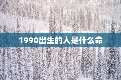 1990出生的人是什么命