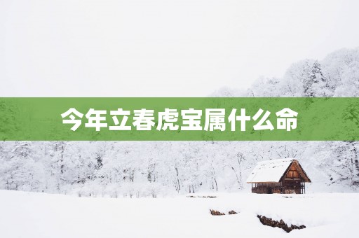 今年立春虎宝属什么命