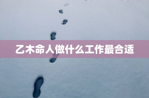 乙木命人做什么工作最合适