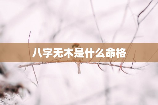 八字无木是什么命格