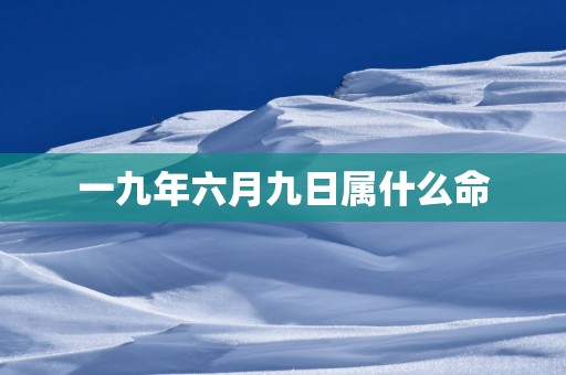 一九年六月九日属什么命