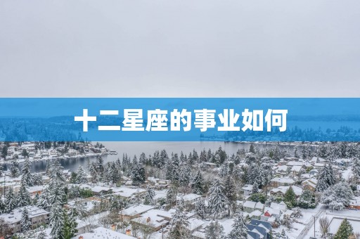 十二星座的事业如何 十二星座的事业如何