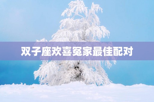 双子座欢喜冤家最佳配对