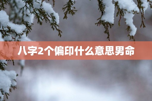 八字2个偏印什么意思男命