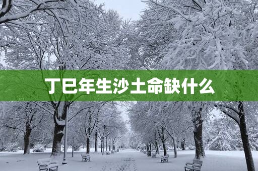 丁巳年生沙土命缺什么