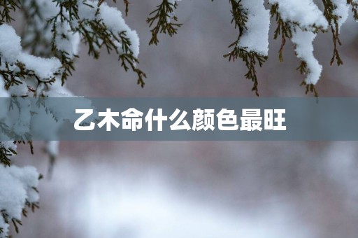 乙木命什么颜色最旺