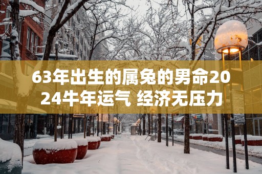 63年出生的属兔的男命2025蛇年运气 经济无压力