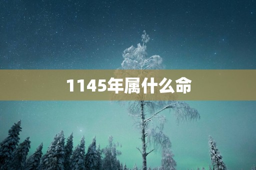 1145年属什么命