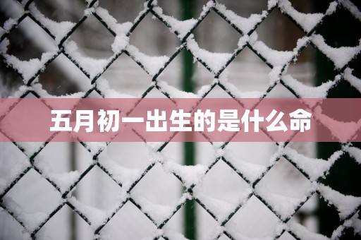 五月初一出生的是什么命