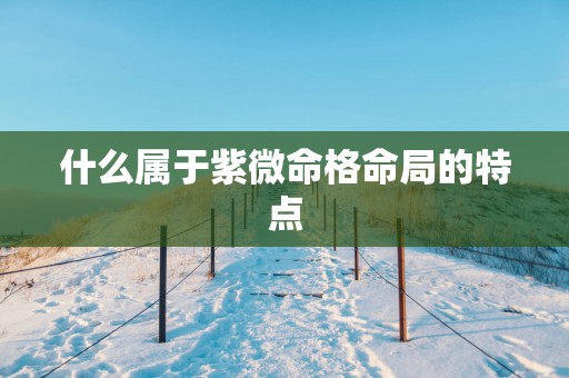 什么属于紫微命格命局的特点