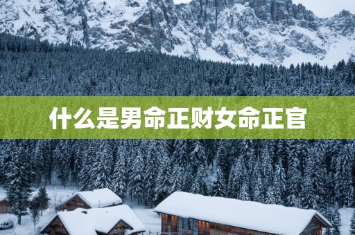 什么是男命正财女命正官