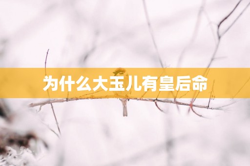 为什么大玉儿有皇后命