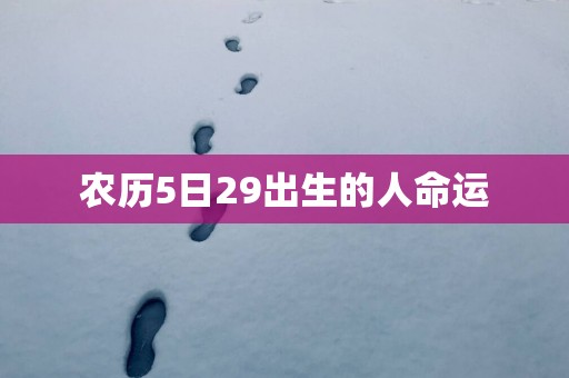 农历5日29出生的人命运