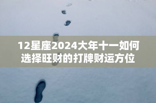 12星座2025大年十一如何选择旺财的打牌财运方位