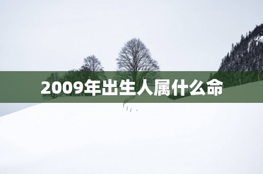 2009年出生人属什么命