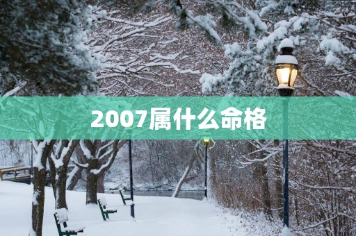 2007属什么命格
