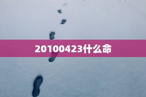 20100423什么命