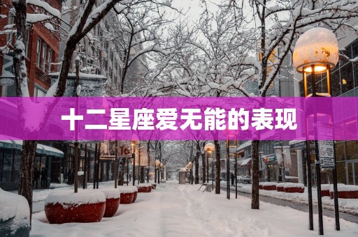 十二星座爱无能的表现