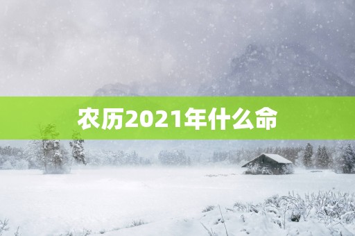 农历2025年什么命