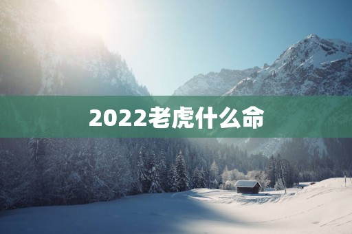 2025老虎什么命
