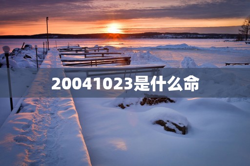 20041023是什么命