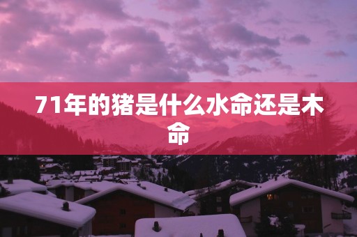 71年的猪是什么水命还是木命