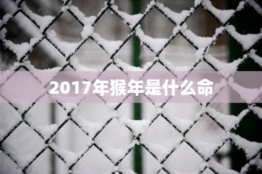 2017年猴年是什么命