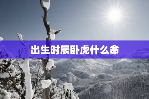 出生时辰卧虎什么命