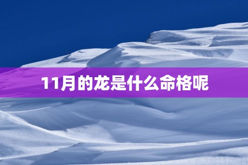 11月的龙是什么命格呢