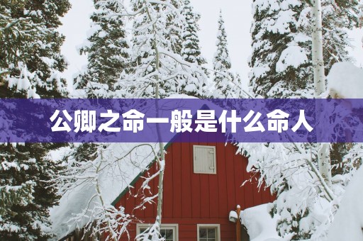 公卿之命一般是什么命人