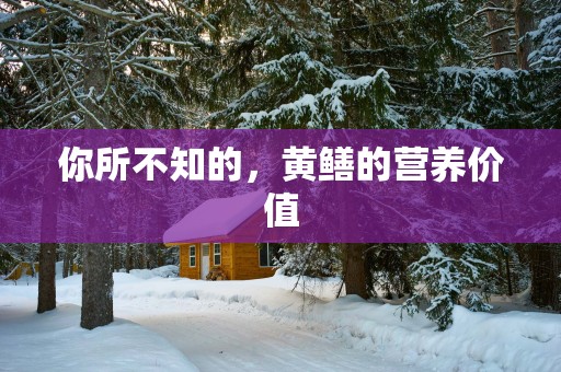 你所不知的，黄鳝的营养价值
